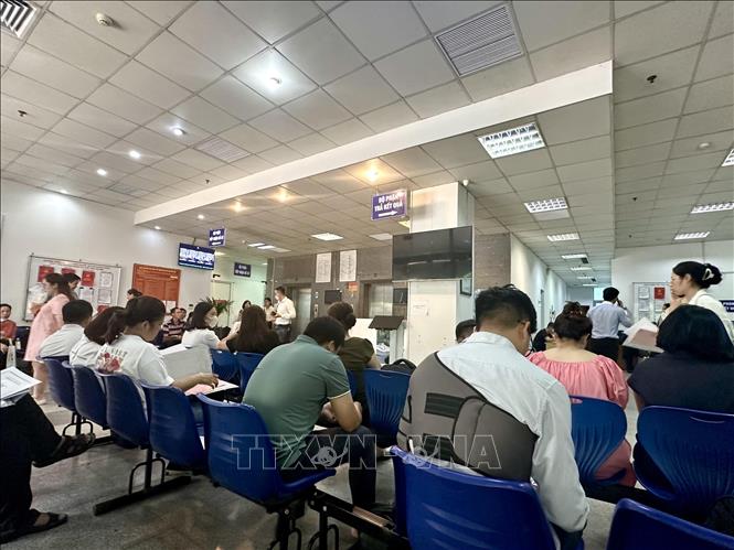 Đấu giá đất tại Hoài Đức (Hà Nội): Giá trúng vẫn ở mức cao, từ 79 - 109 triệu đồng/m²