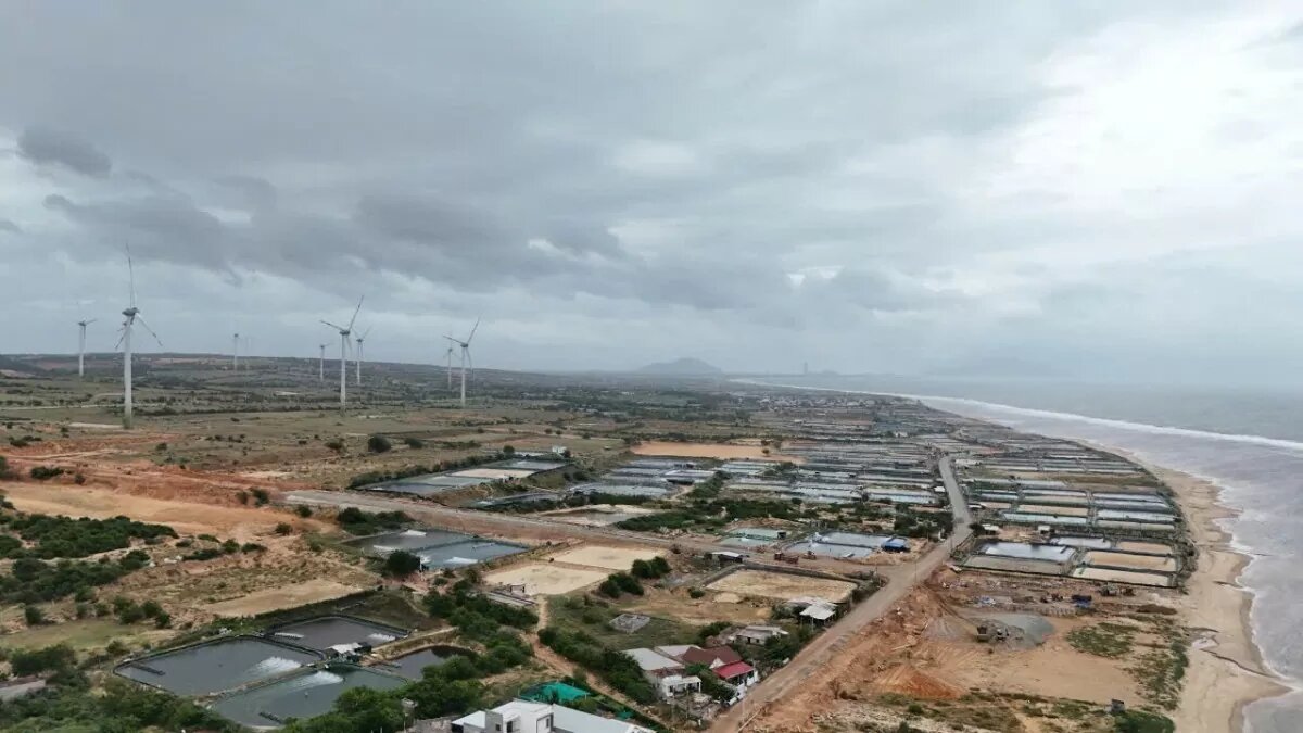 Cơ chế đặc thù cho bồi thường, hỗ trợ và 28BET nhà cái uy tín dẫn đầu nền tảng cá cược trực tuyến Dự án điện hạt nhân Ninh Thuận