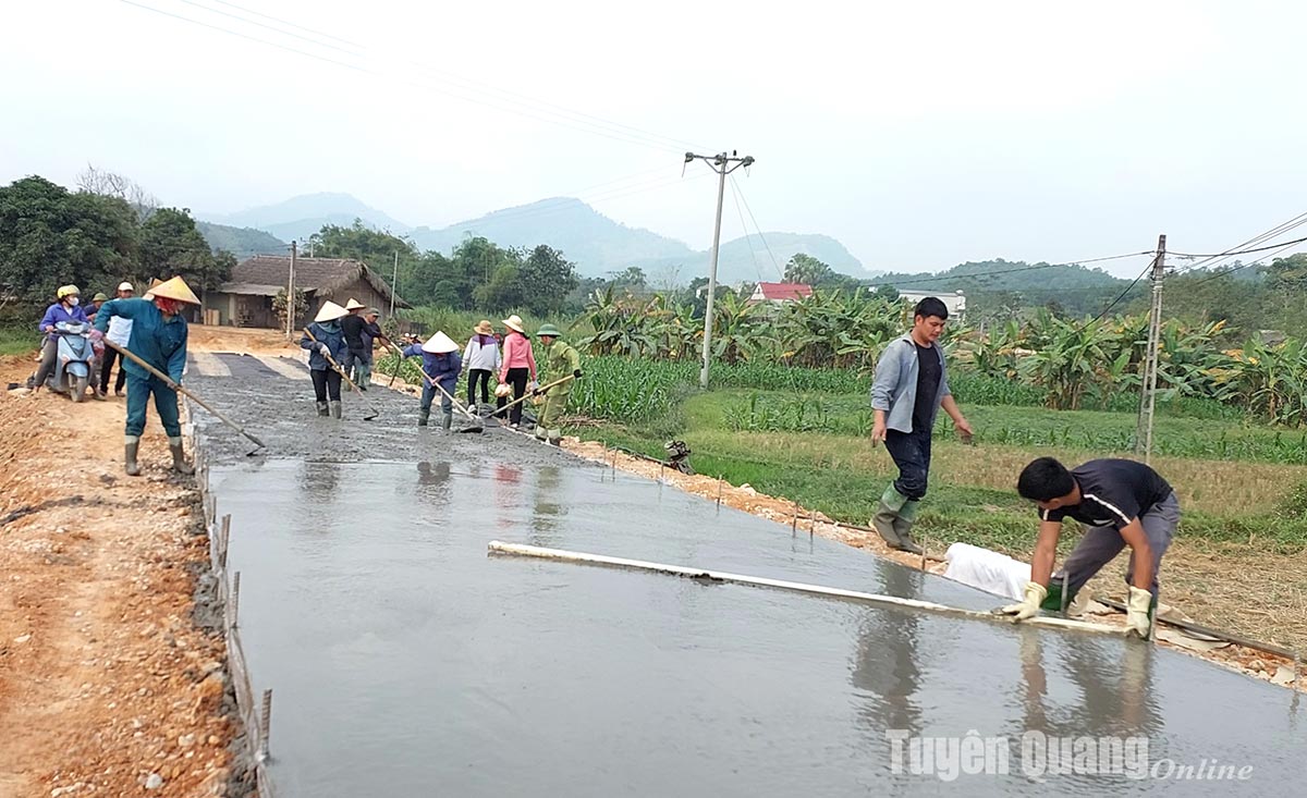 Triển khai đồng bộ, hiệu quả các Chương trình mục tiêu quốc gia
