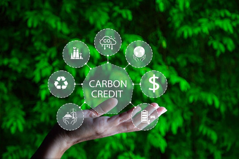 Vận hành thí điểm Sàn giao dịch carbon