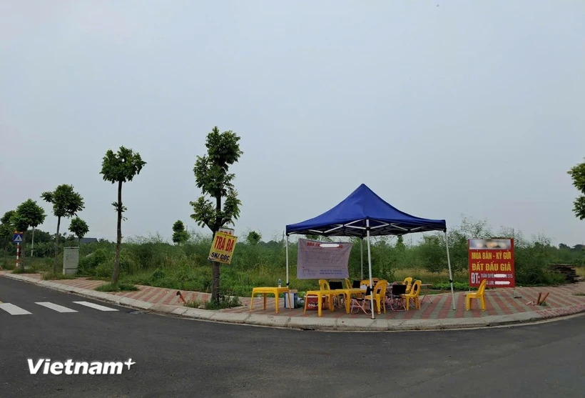 Hôm nay 23/8, Bộ TN&MT chính thức kiểm tra đột xuất đấu giá đất ở Hà Nội