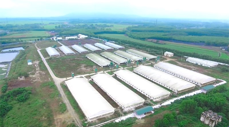 Trường hợp nào nhà đầu tư được miễn ký quỹ?