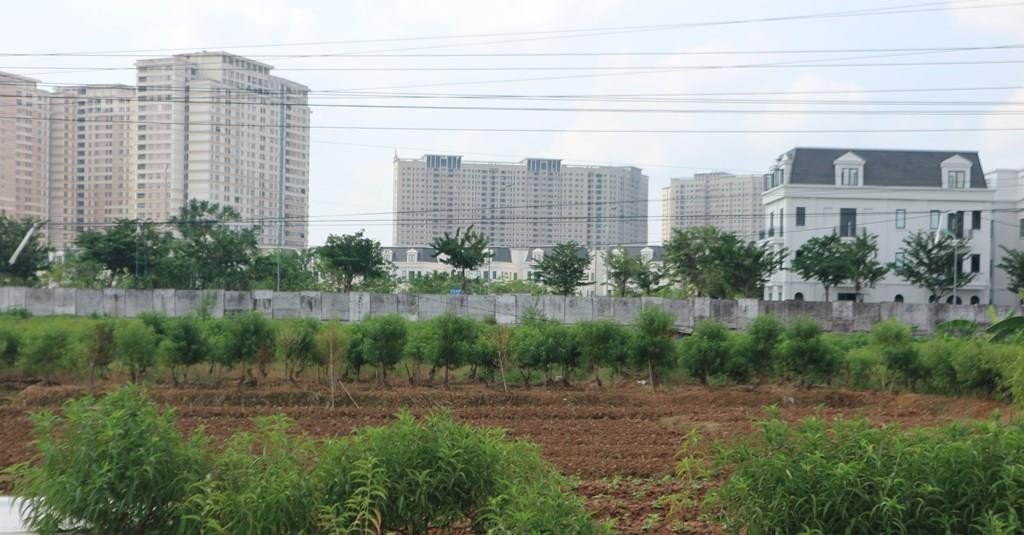 Quy định về điều kiện tách, hợp thửa đất 