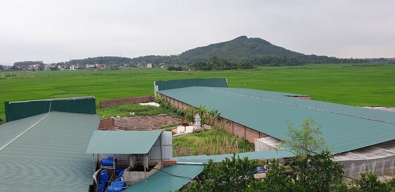 Điều kiện chuyển đổi đất nông nghiệp trong khu dân cư sang đất ở
