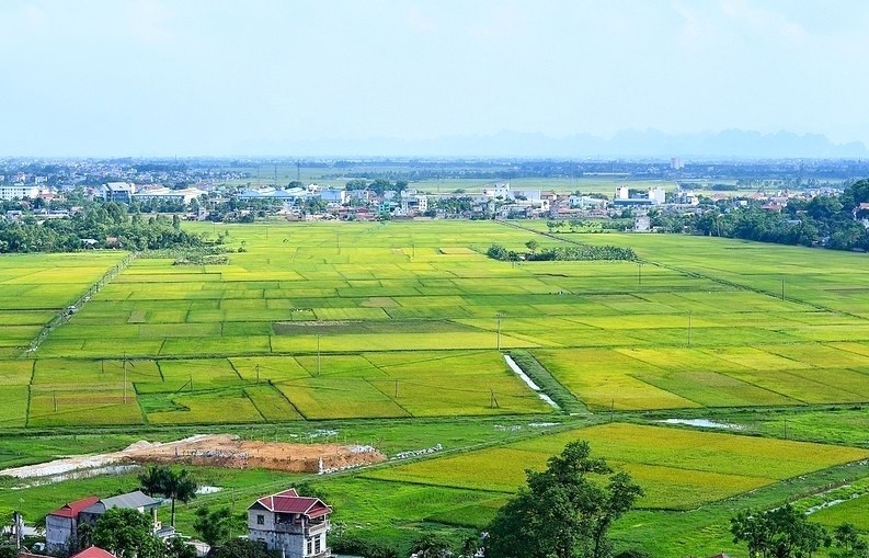 Điều kiện chuyển đất trồng lúa thành đất ở