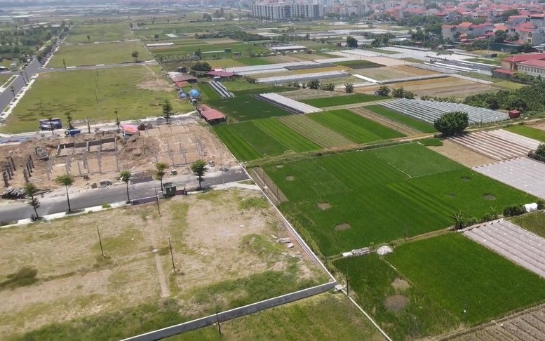 Căn cứ xác định hành vi 28Bet28 kèo World Cup 2026 sai mục đích