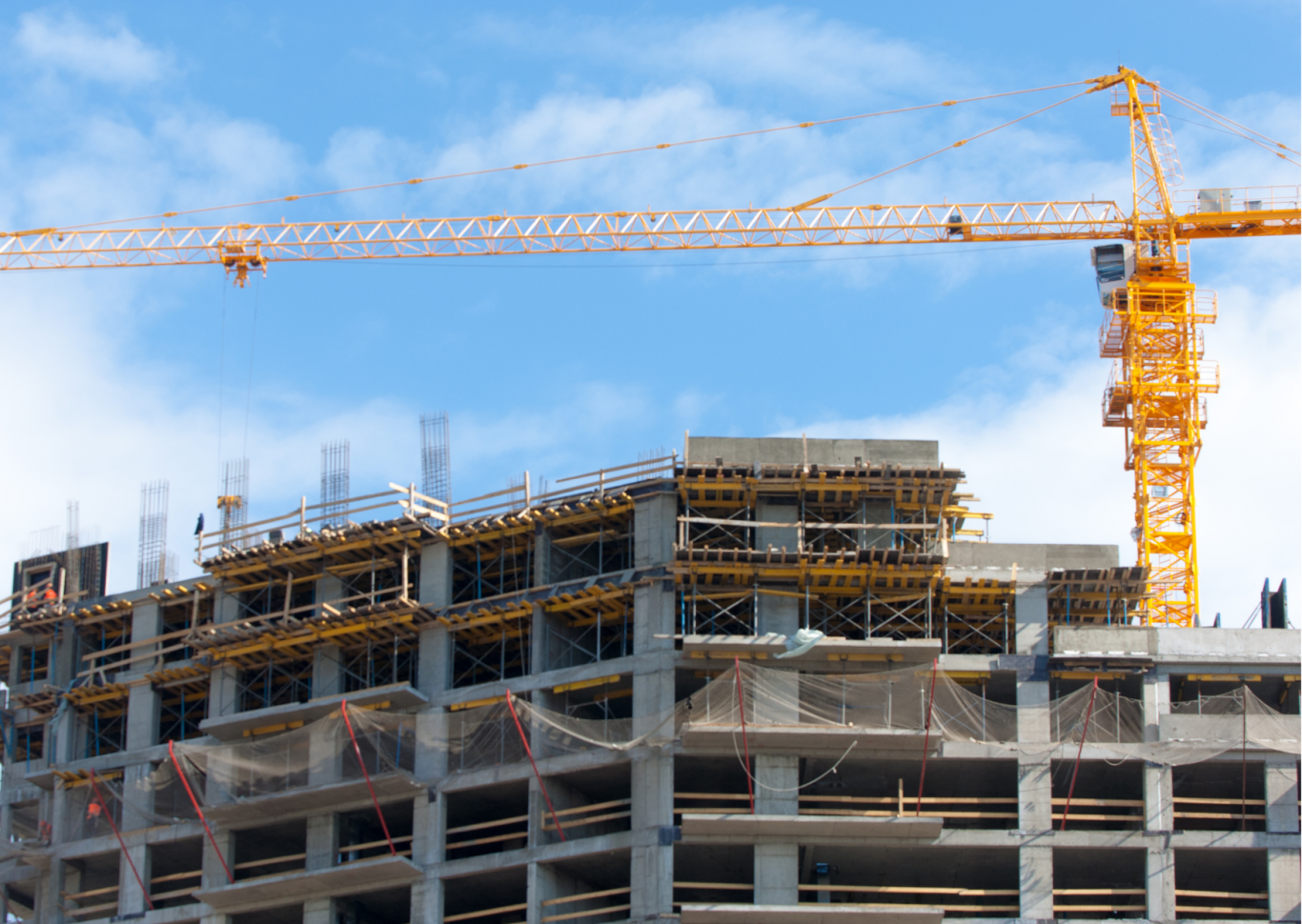 Có thể tham gia một hoặc nhiều dịch vụ tư vấn trong một dự án