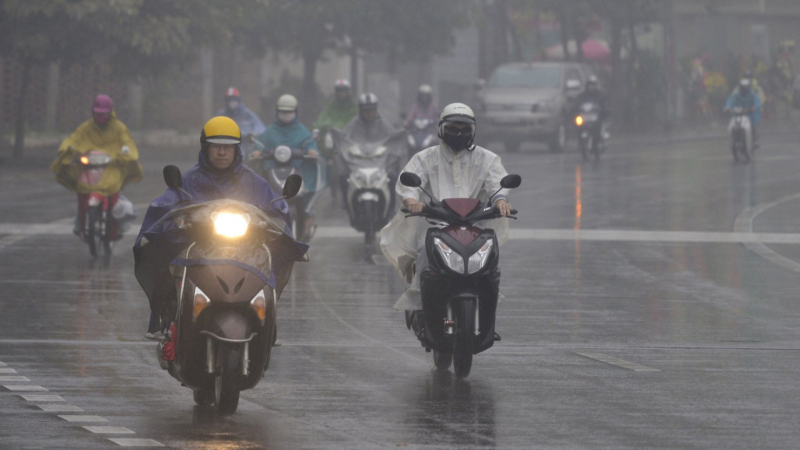 Môi trường sống ngày càng khắc nghiệt