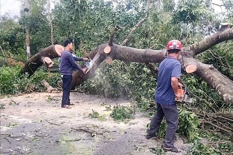 Triển khai đồng bộ để khắc phục hậu quả mưa lũ do hoàn lưu bão số 10
