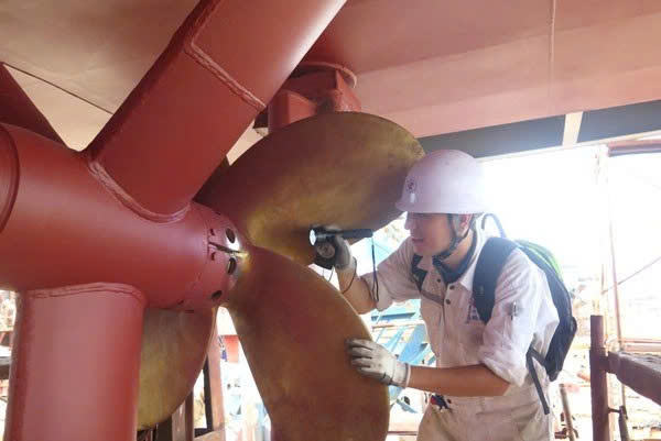 Quy định mới về tiêu chuẩn, nhiệm vụ của đăng kiểm viên tàu biển