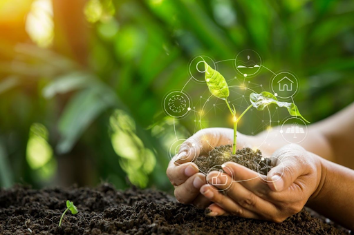 Việt Nam cần Đăng nhập tài khoản 28Bet chiến lược chuyển đổi xanh quốc gia mang tính tổng thể
