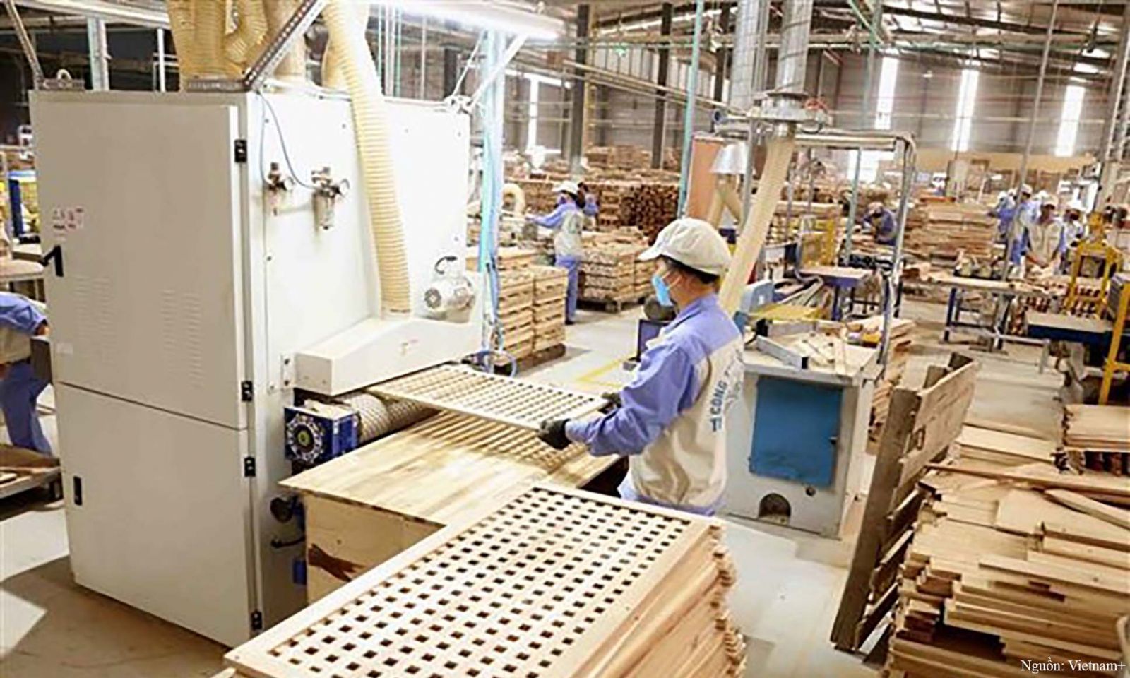 TP.HCM: Doanh nghiệp gỗ chủ động mở rộng biên độ kinh doanh