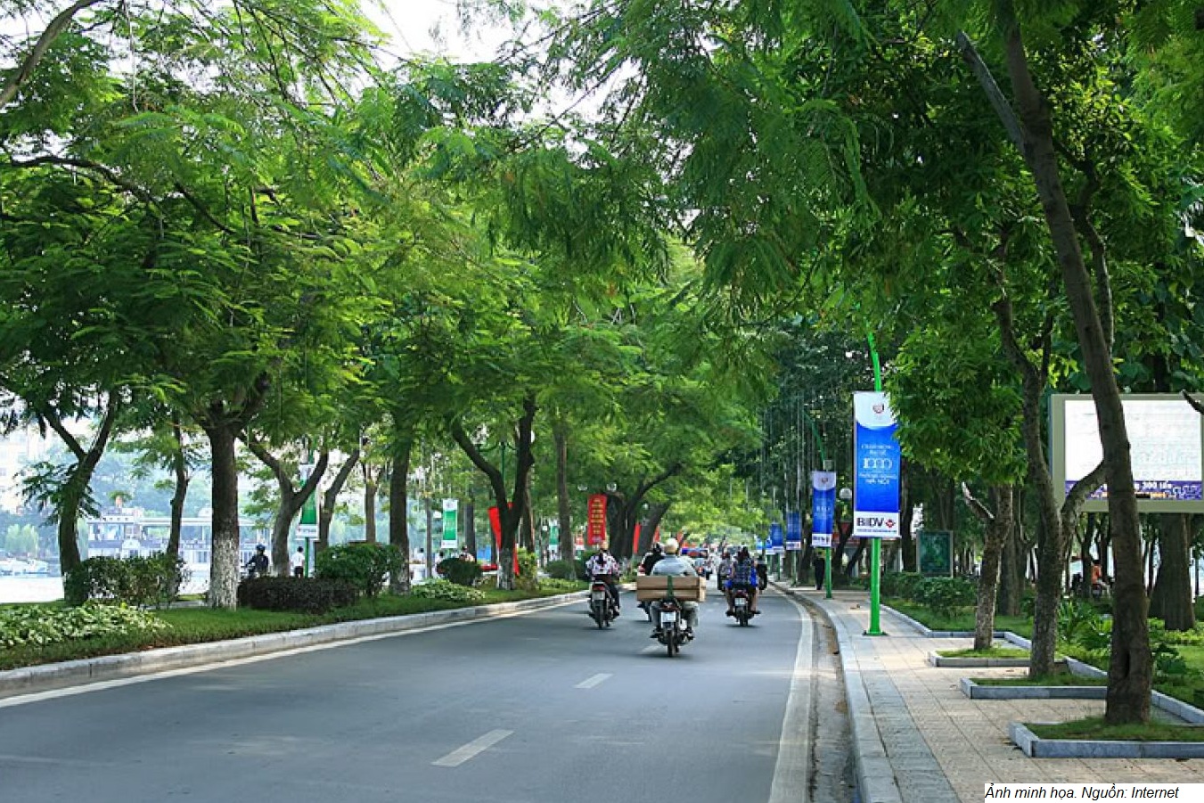 Tìm giải pháp giữ “lá phổi” xanh cho thành phố