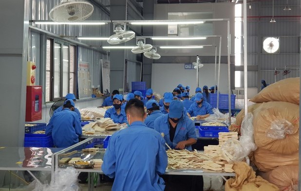 Ngành gỗ kỳ vọng tăng trưởng trên 18 tỷ USD năm 2023