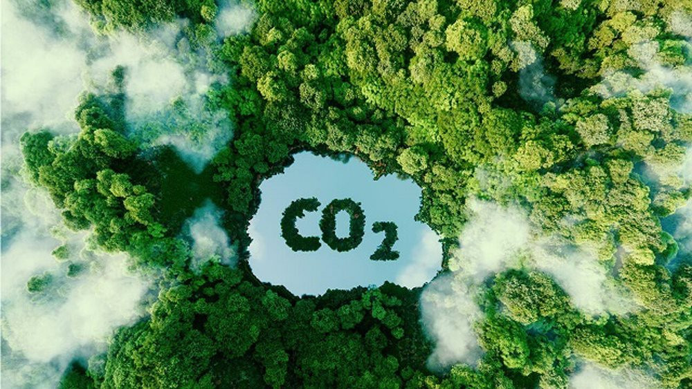 Tín chỉ carbon - “tài nguyên” mới nổi