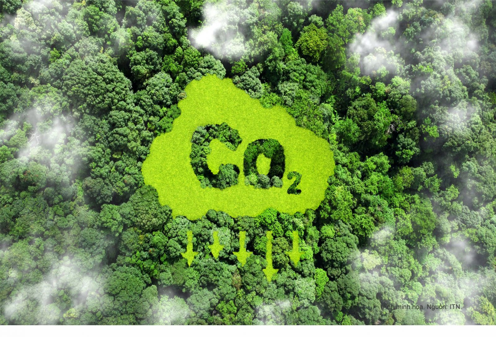 Giao dịch tín chỉ carbon đã bắt đầu