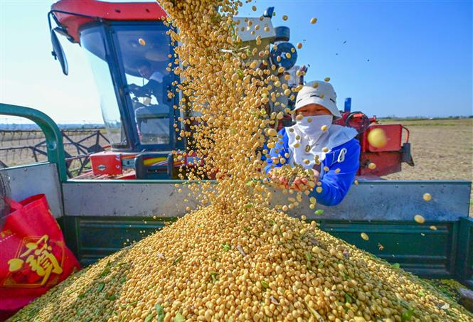 Hàng hóa thế giới chịu áp lực giảm giá khi ông Trump đắc cử Tổng thống Mỹ