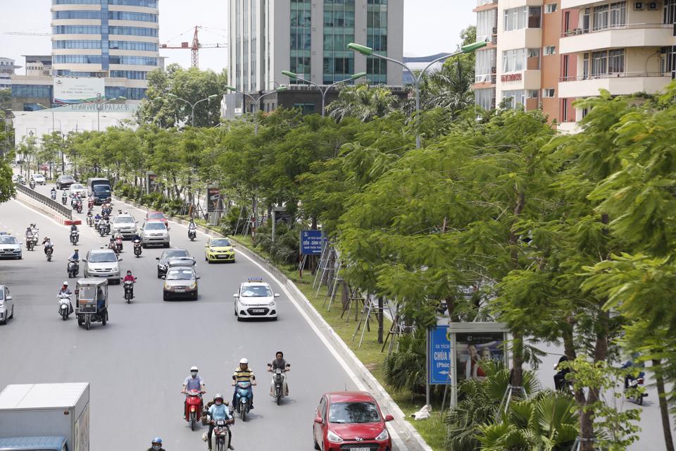 Cây xanh và vai trò giảm nhiệt đô thị