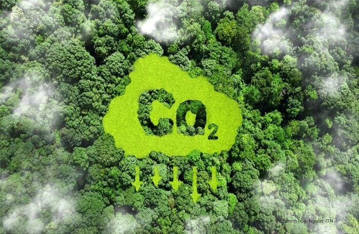 Cơ hội cho các 28BET COM Nổ Hũ, Casino Xanh Chín vừa và nhỏ tham gia phát triển dự án tạo tín chỉ carbon