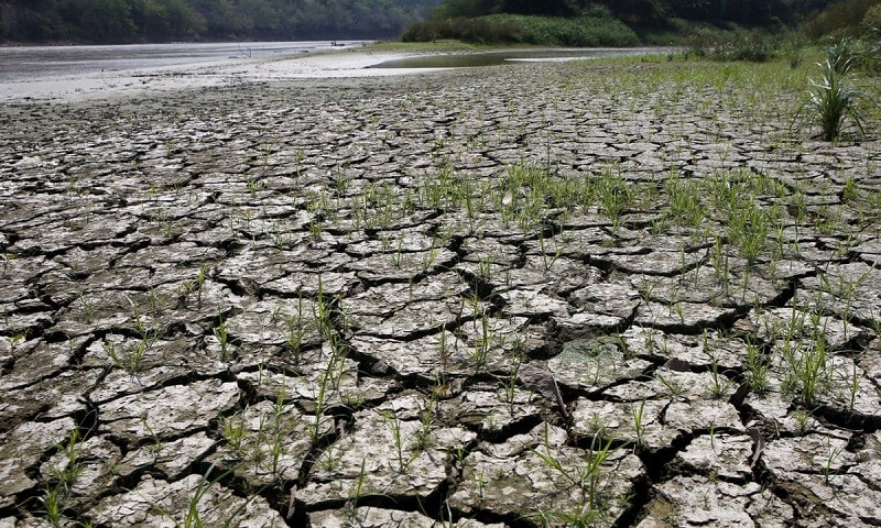 Vì sao El Nino rất khó dự đoán?