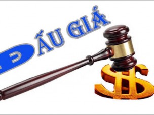 “Quân xanh, quân đỏ” trong đấu giá: Cách nào loại bỏ?