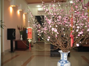 Mẹo trang trí nhà dịp Tết Nguyên đán giúp gia chủ rước lộc cả năm