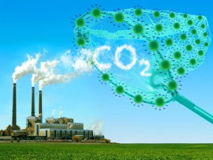 Công nghệ loại bỏ CO2 khỏi không khí với hiệu suất lên đến 99%