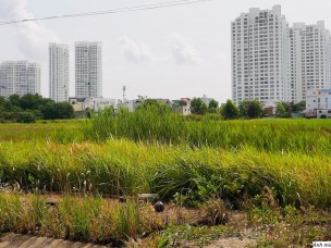 Còn hơn 18.000ha đất vướng dự án chậm tiến độ, dự án treo